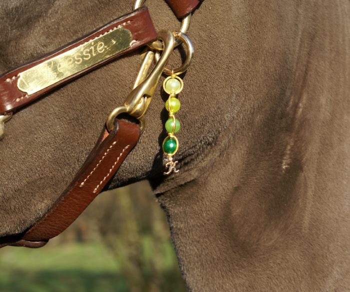 Lucky charm Green Gradient